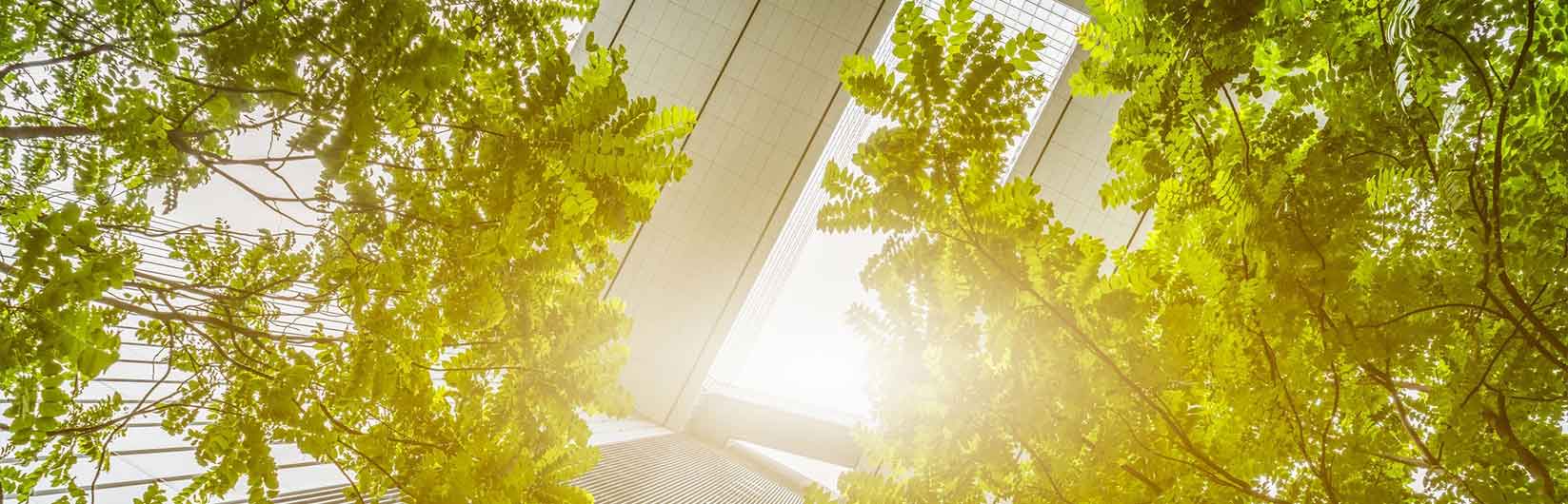 Savills Sustainability Advisory Savills Sustainability Advisory